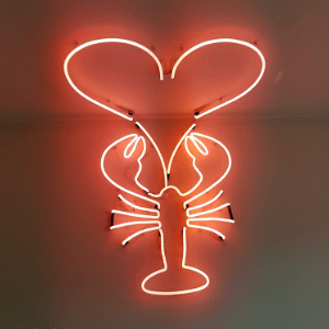 Afbeelding in neon - kreeft