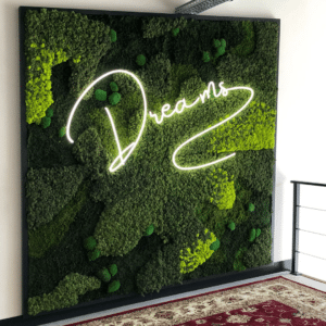 Neon lichtreclame Dreams - Portfolio Brouwers Reklame Kunstwerk in neon en mos